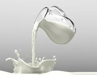 Güçlü kemiklerin doğal reçetesi