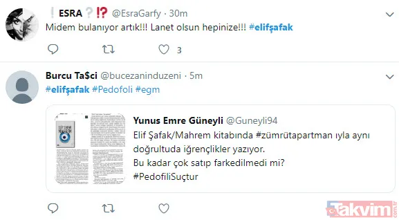 Abdullah Şevki'den sonra bir pedofili skandalı da FETÖ gelini Elif Şafak'tan! - 10