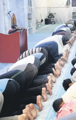 Fırat Kalkanı yaşam kalkanı oldu