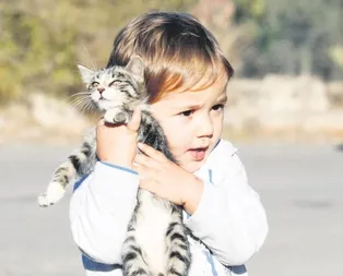 Poyraz ‘ışık’ oldu