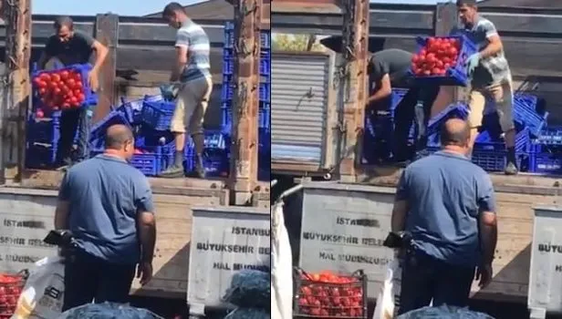 İstanbul Bayrampaşa halinde ucuza satmamak için kasa kasa domatesi çöpe döktüler
