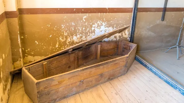 Bu tabutun içine girene 300 dolara ödül-4