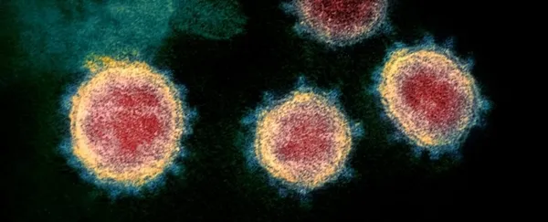 son-dakika-mutasyona-ugrayan-koronavirus-ingiltereden-sonra-dort-avrupa-ulkesinde-daha-goruldu-1608477049024.jpg Son dakika: Mutasyona uğrayan koronavirüs, İngiltere'den sonra dört Avrupa ülkesinde daha görüldü-7