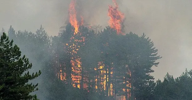 Son dakika: Konya'da orman yangını