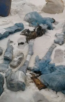 PKK'ya ait mühimmatlar böyle ele geçirildi!