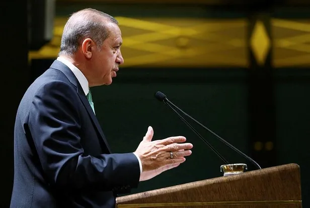 Son dakika: Başkan Erdoğan’dan 'Hayvan Hakları Yasası' çalışmalarında "süreci hızlandırın" talimatı-1