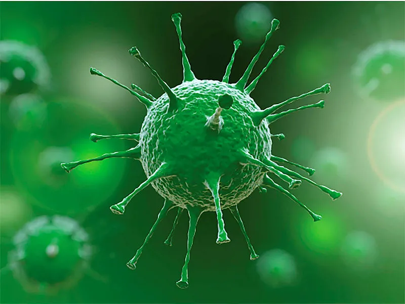 Bunu daha önce hiç duymadınız! İşte koronavirüsün yaşayamadığı tek yüzey! - 11