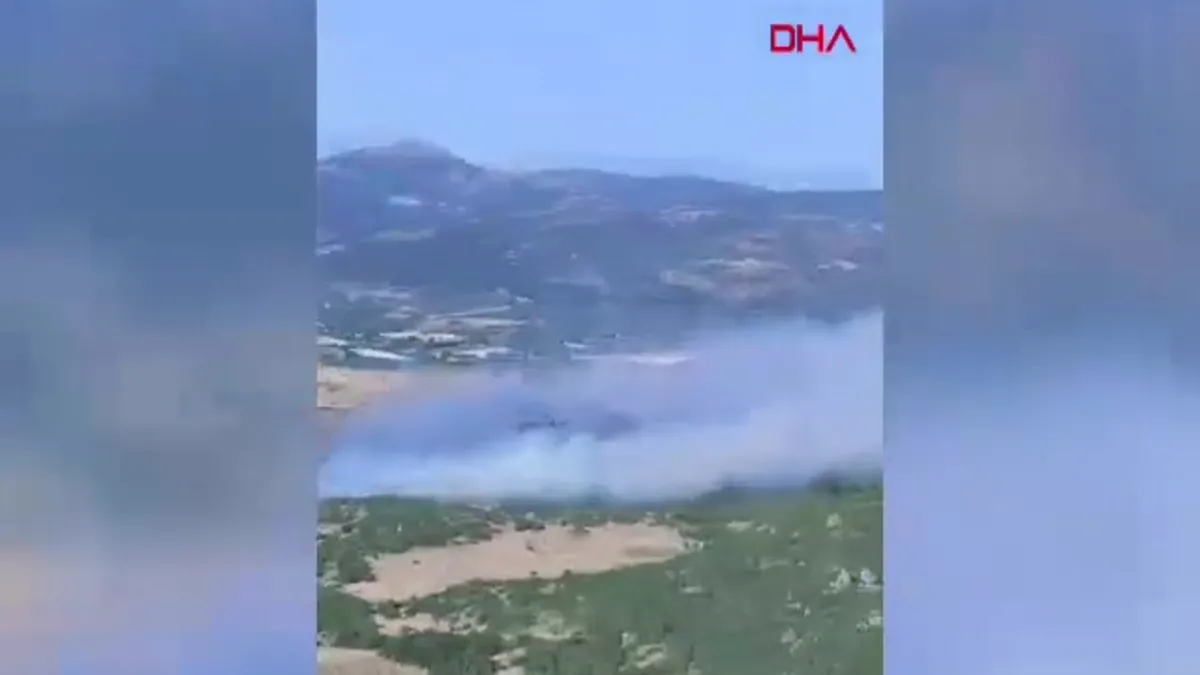 Manisa’da korkutan orman yangını