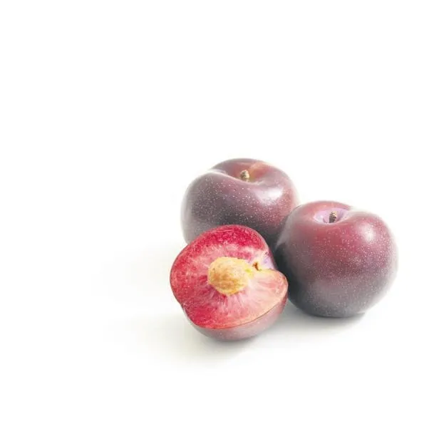 Uzmanı uyardı: Aşırı terleme enfeksiyona gebe!-2