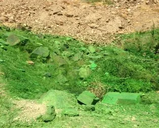 CHP’li belediye dağ yamacını yeşile boyadı