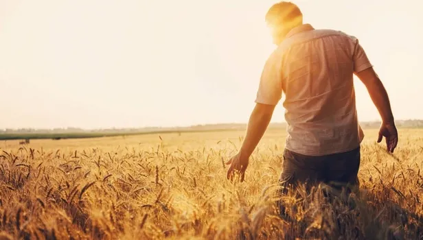 hukumetten-ciftcileri-sevindiren-yenilik-hasat-sigortasi-basladi-primler-artti-1642120323142.jpeg Hükümetten çiftçileri sevindiren yenilik! Hasat sigortası başladı-9