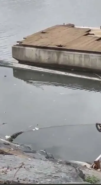 Haliç’te mide bulandıran görüntü! Dev sıçanlar cirit atıyor-4