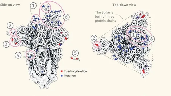 Omicron, küresel paniğin yeni adı oldu! Şimdiye kadar 11 ülkede tespit edilen varyant korkuttu-2