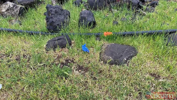 Diyarbakır'da geçtiğimiz gün vahşice katledilen aile ile ilgili korkutucu detaylar! Amaç hepsini katletmek... - 4