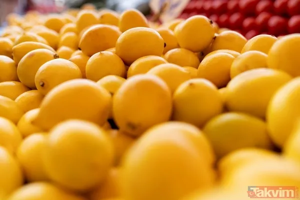 Her şey 2 bin 500 yıl önce başladı kimse böylesini beklemiyordu! Her derdin devası o hastalığı bile tarihten sildi - 46