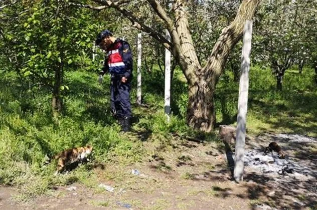 Bursa'da alkol masasında silahlı kavga!
