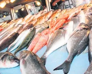 Balığa doyacağız