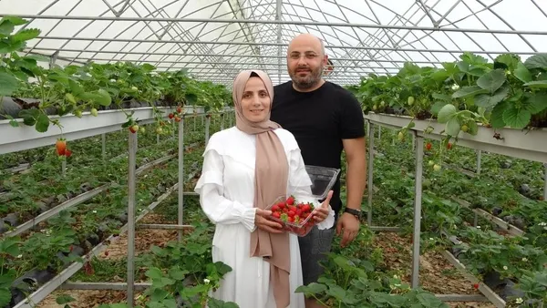 ordu-fatsada-hobi-olarak-topraksiz-tarima-baslayan-cift-500-metrekarede-5-ton-cilek-uretiyor-1659681386768.jpg