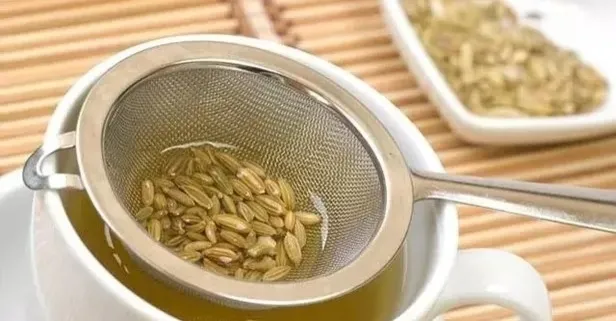 Reflünün çaresi rezene