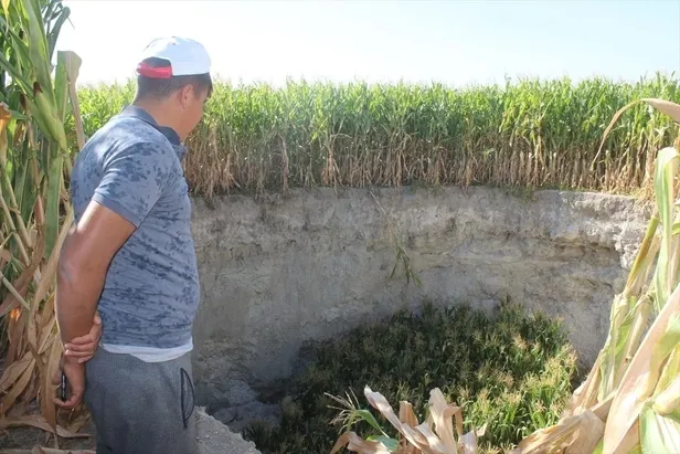 O ilimizde yaşayanları şoke eden olay! Tarlada çalışırken bir anda gördü çok büyük ve korkutucuydu!-2