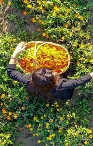 Dr. Nafiz Karagözoğlu değerlendirdi: Aynısefadan destek al