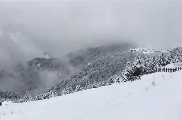Meteoroloji uyardı! 4 ilde çığ tehlikesi