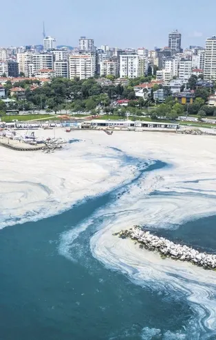 Marmara'da müsilaj seferberliği! 7 ilde eş zamanlı temizlik...