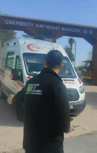 Çekmeköy'de silahlar konuştu! Hayvanat bahçesindeki silahlı kavgada 2 kişi hayatını kaybetti