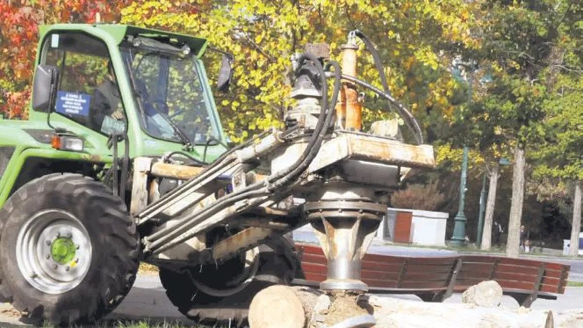 İBB, Gülhane ve Gezi'de 50 ağaç kesti