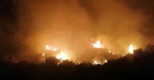 Son dakika: Antalya Manavgat’ta orman yangını: 5 hektar alan zarar gördü