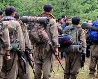 O hainler Lice’de öldürüldü