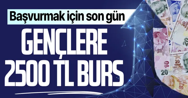 Üniversiteliler dikkat! Lisans öğrencilerine 2500 TL, doktora öğrencilerine de 7500 TL burs: İŞKUR detayları paylaştı