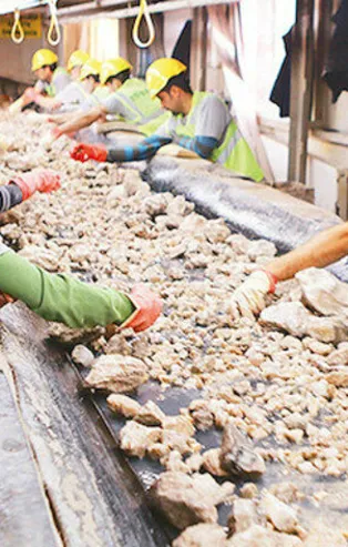 Türkiye'den yeni bor hamlesi! Yılda 10 ton lityum...