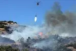 Aydın’da zeytinlik alanda çıkan yangına ilişkin baba ve oğlu gözaltına alındı
