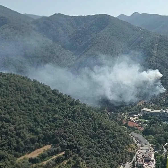 İzmir’de orman yangını!