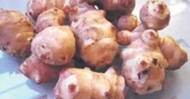 Potasyum deposu yer elması hangi hastalıklara karşı korur?