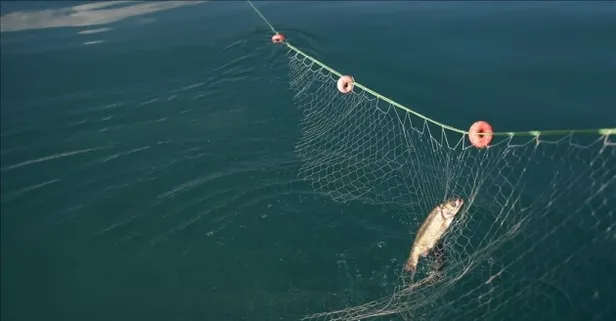 Kıyı balıkçılarına 13.7 milyon TL