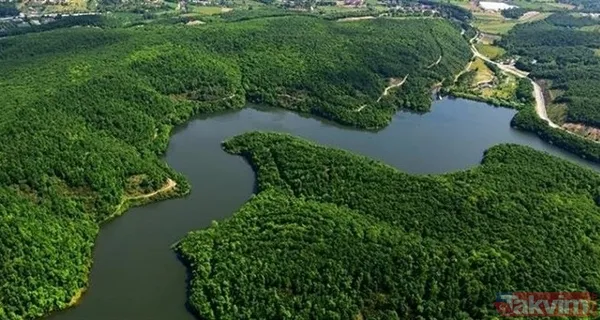 Barajlarda doluluk oranı ne durumda? İstanbul'da barajlar dolu mu? DSİ beklenen açıklamayı yaptı - 9