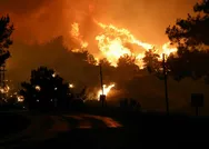 İzmir Mendereste yangın çıkmasına neden olan şahıs tutuklandı!