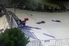 Adliyeye terör saldırısı davasında flaş karar: Teröristin ablası Nejla Birkoç tahliye edildi