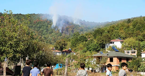 Adapazarı'nda çıkan orman yangını söndürüldü