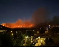 İzmir Foça’da orman yangını