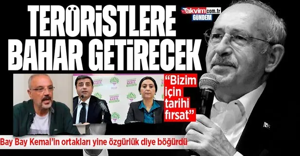 Kemal Kılıçdaroğlu’nun ortağı HDPKK yine özgürlük naraları attı: Bizim için tarihi fırsat
