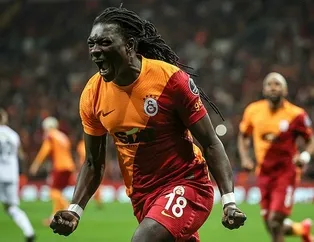 Aslan kral işbaşında