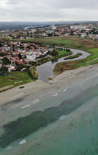 Silivri'de endişelendiren olay! Rengi siyaha döndü, balıklar ölmeye başladı