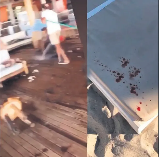 magandalar-alacatiyi-teksasa-cevirdi-1595287539418.jpg İzmir'in Çeşme ilçesinde bu yaz skandallar bitmiyor! Magandalar Alaçatı’yı Teksas’a çevirdi-3