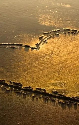 Aşk renk değiştirir