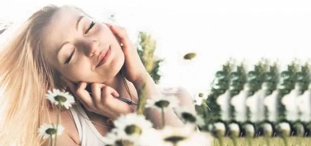 Papatya ülseri iyileştirir