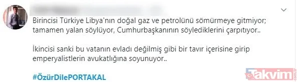 ABD'li Fox TV'nin sunucusu Fatih Portakal, Türkiye'yi emperyalistlikle suçladı! Küstah sözlerine tepki yağdı - 14