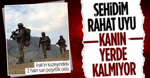 Son dakika: Pençe Şimşek ve Pençe Kaplan operasyon bölgelerinde 2 PKK’lı etkisiz hâle getirildi